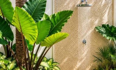 Leasehold -   Exclusive 2-Bedroom Villa with Private Pool in Padonan, Canggu, Bali