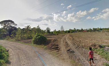 BI 011 | 4 Hectares Heavy Industrial Land in Bunawan