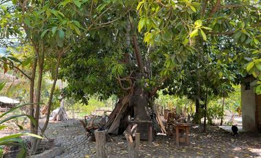 Rancho pequeño, cerca de la carretera principal