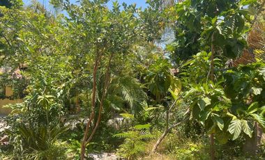 Rancho pequeño, cerca de la carretera principal