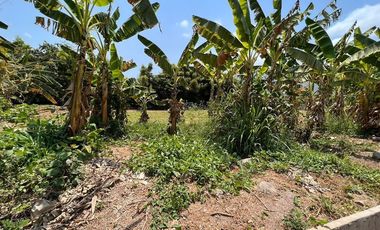 Rancho pequeño, cerca de la carretera principal