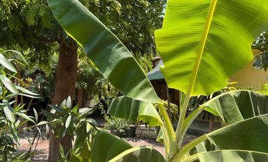 Rancho pequeño, cerca de la carretera principal