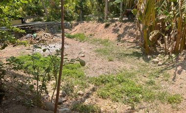 Rancho pequeño, cerca de la carretera principal