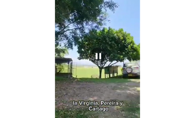 SE VENDE FINCA PRODUCTIVA  EN LA VIRGINIA ENTRADA CAIMALITO