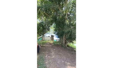 SE VENDE FINCA PRODUCTIVA  EN LA VIRGINIA ENTRADA CAIMALITO
