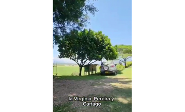 SE VENDE FINCA PRODUCTIVA  EN LA VIRGINIA ENTRADA CAIMALITO