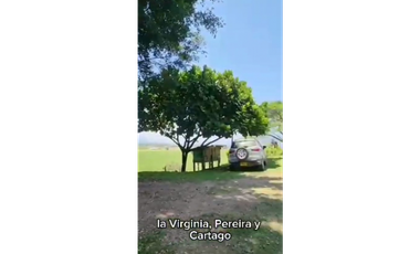 SE VENDE FINCA PRODUCTIVA  EN LA VIRGINIA ENTRADA CAIMALITO