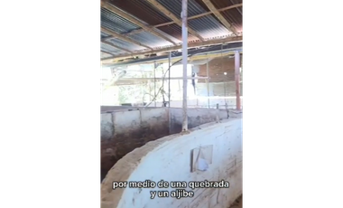 SE VENDE FINCA PRODUCTIVA  EN LA VIRGINIA ENTRADA CAIMALITO