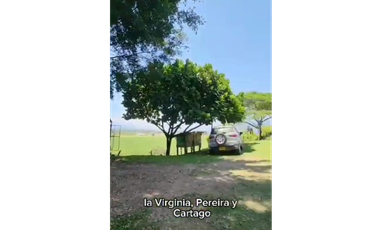 SE VENDE FINCA PRODUCTIVA  EN LA VIRGINIA ENTRADA CAIMALITO