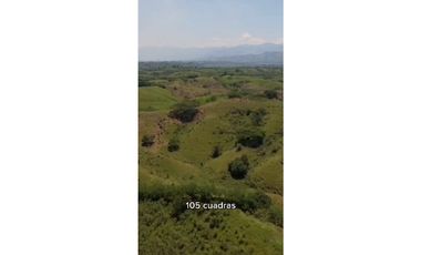 SE VENDE FINCA PRODUCTIVA  EN LA VIRGINIA ENTRADA CAIMALITO