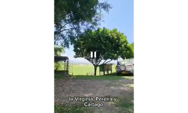 SE VENDE FINCA PRODUCTIVA  EN LA VIRGINIA ENTRADA CAIMALITO