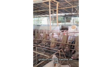 SE VENDE FINCA PRODUCTIVA  EN LA VIRGINIA ENTRADA CAIMALITO