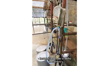 SE VENDE FINCA PRODUCTIVA  EN LA VIRGINIA ENTRADA CAIMALITO