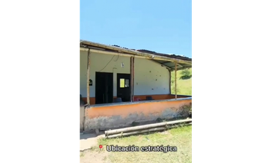 SE VENDE FINCA PRODUCTIVA  EN LA VIRGINIA ENTRADA CAIMALITO