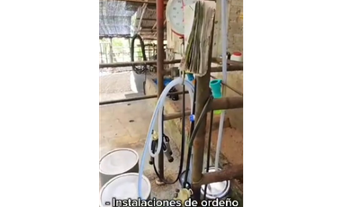SE VENDE FINCA PRODUCTIVA  EN LA VIRGINIA ENTRADA CAIMALITO