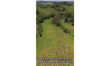 SE VENDE FINCA PRODUCTIVA  EN LA VIRGINIA ENTRADA CAIMALITO