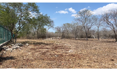 Dos lotes en Temozón con inmejorable ubicación en Mérida Yucatán