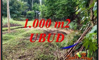 Luas Lahan 1,000 m2 Kondisi Lahan Kosong Siap Bangun di Ubud
