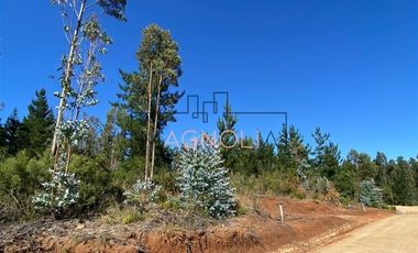 Parcela en Venta en alto tuman