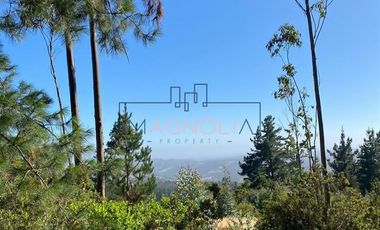 Parcela en Venta en alto tuman