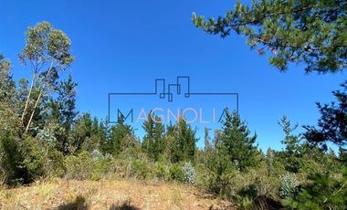 Parcela en Venta en alto tuman