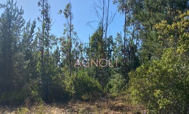 Parcela en Venta en alto tuman