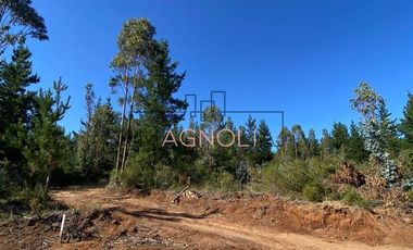 Parcela en Venta en alto tuman