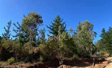 Parcela en Venta en alto tuman