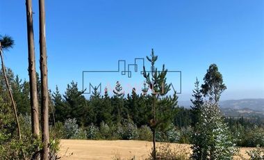 Parcela en Venta en alto tuman