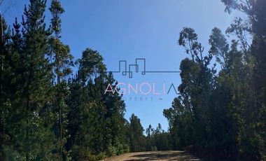 Parcela en Venta en alto tuman