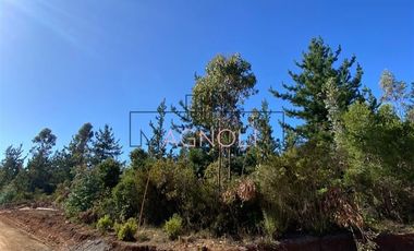 Parcela en Venta en alto tuman