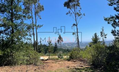 Parcela en Venta en alto tuman