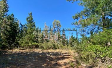 Parcela en Venta en alto tuman