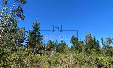 Parcela en Venta en alto tuman