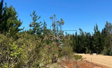 Parcela en Venta en alto tuman