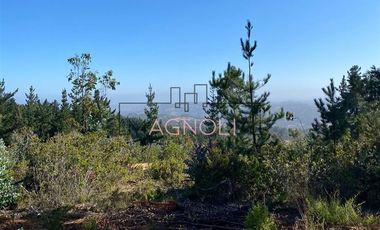 Parcela en Venta en alto tuman