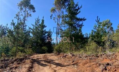 Parcela en Venta en alto tuman