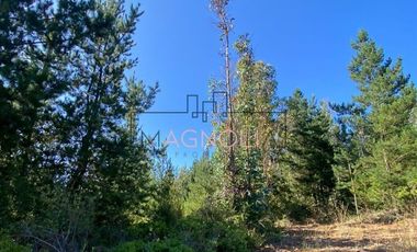 Parcela en Venta en alto tuman