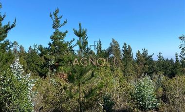 Parcela en Venta en alto tuman