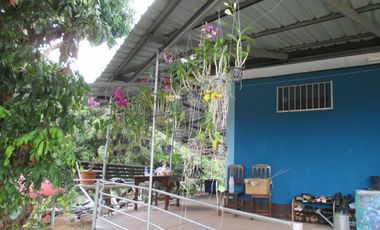 2 Bedroom House for sale in Ban Luang, Chiang Mai