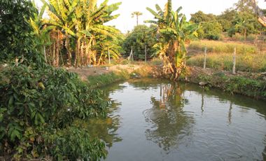 2 Bedroom House for sale in Ban Luang, Chiang Mai
