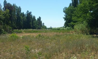 SE VENDE CASA CON TERRENO AMPLIO, EN SEMILLERO, YERBAS BUENAS.