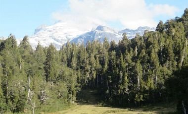 Campo 719 Has Con Laguna Valle Cochamo