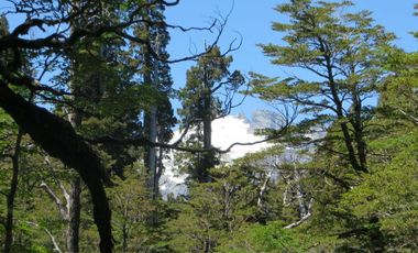 Campo 719 Has Con Laguna Valle Cochamo