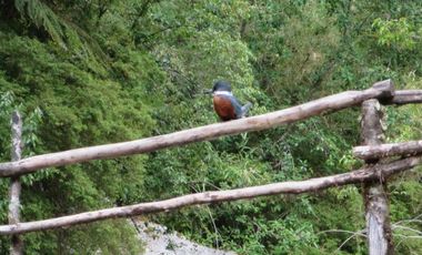 Campo 719 Has Con Laguna Valle Cochamo