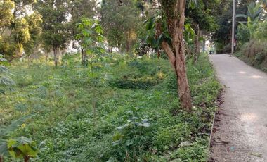 Tanah murah mainroad Tanimulya Bandung Barat 7300mtr