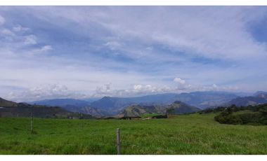 VENTA DE LOTE EN TARSO SUROESTE DE ANTIOQUIA