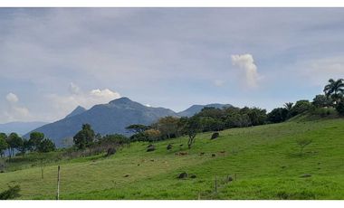 VENTA DE LOTE EN TARSO SUROESTE DE ANTIOQUIA