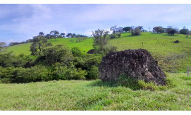 VENTA DE LOTE EN TARSO SUROESTE DE ANTIOQUIA