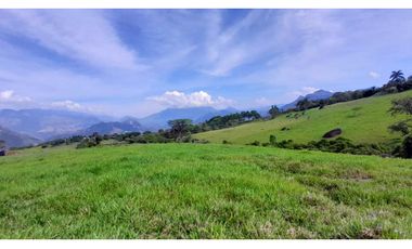 VENTA DE LOTE EN TARSO SUROESTE DE ANTIOQUIA